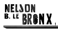 poilice bronx poilice bronx